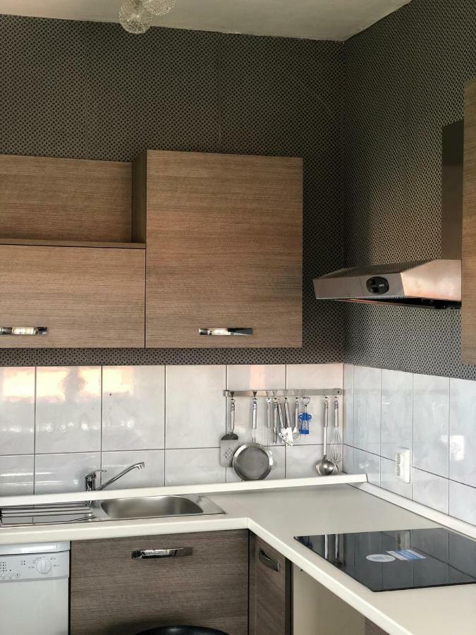 Apartments Tepavac ノヴィ・ヴィノドロスキー エクステリア 写真